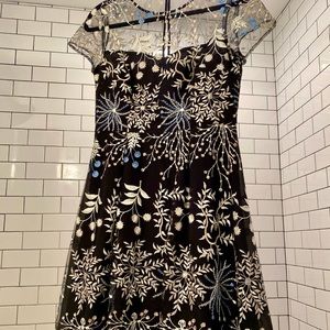 Adrianna Papell Ethereal Fit and Flair